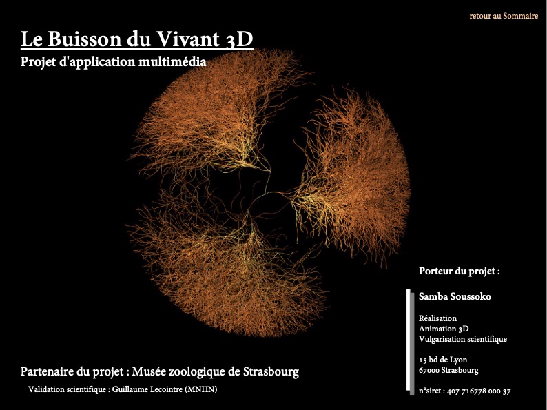 Buisson du vivant 3D