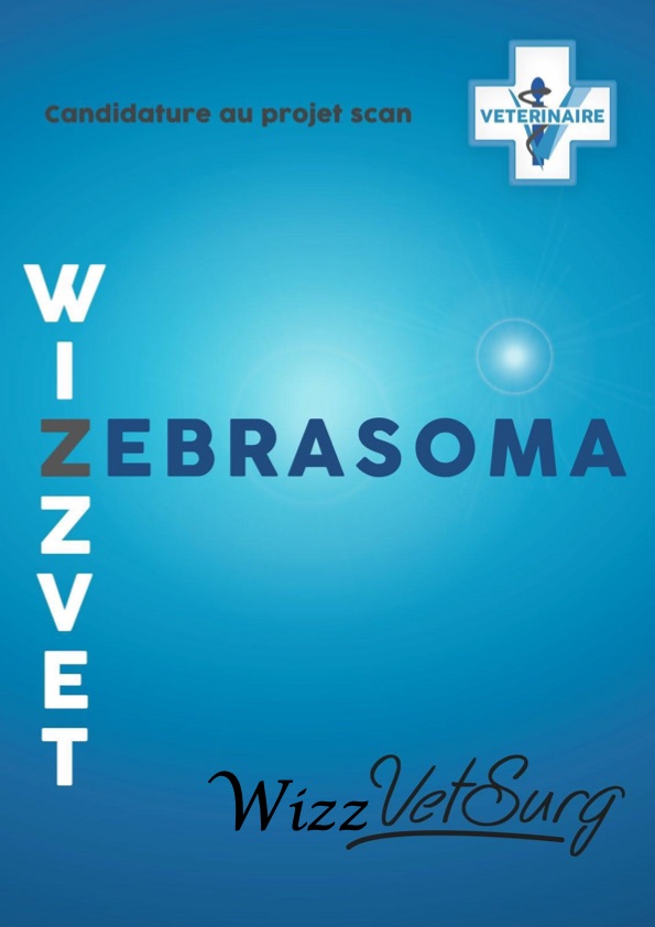 WizzVetSurg