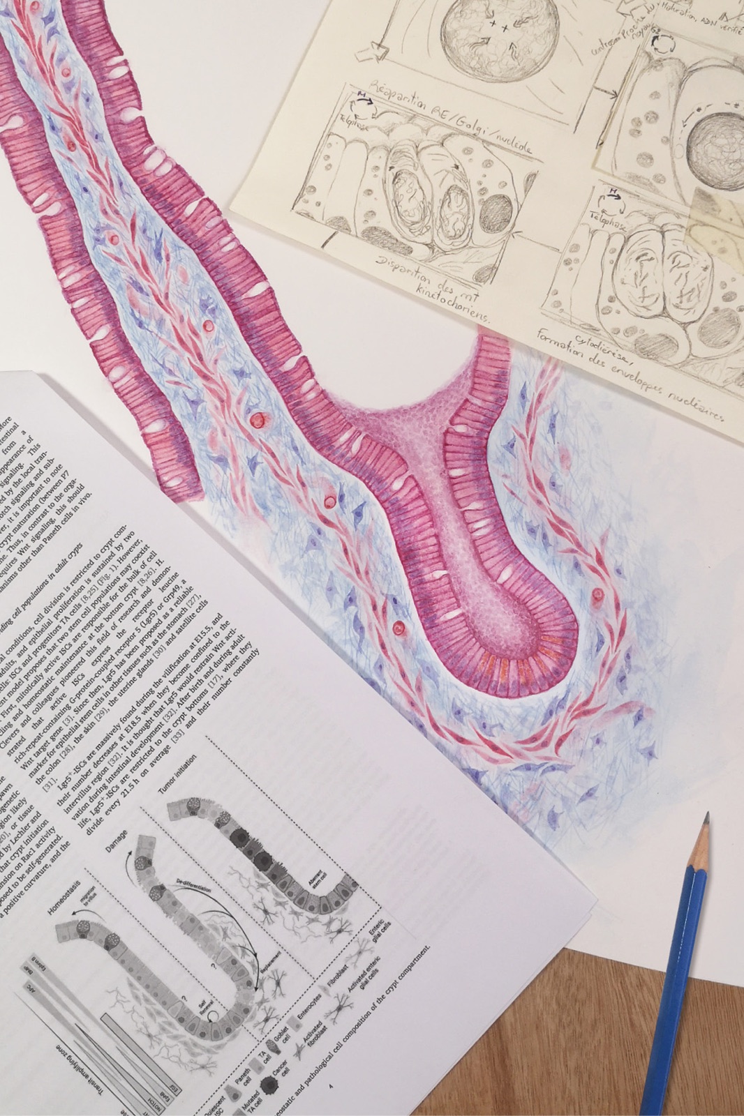 Dessin animé scientifique
